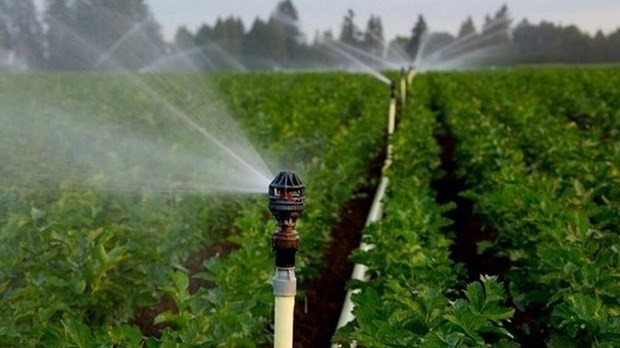 The theme of this year’s World Water Day (March 22) is “Groundwater”(Illustrative photo: aqualife.vn)