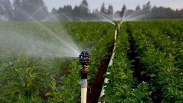 The theme of this year’s World Water Day (March 22) is “Groundwater”(Illustrative photo: aqualife.vn)