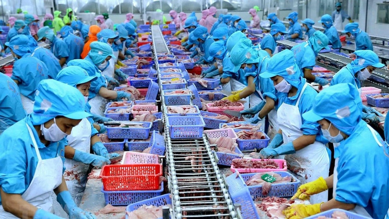 Illustrative image (Photo: VNA)