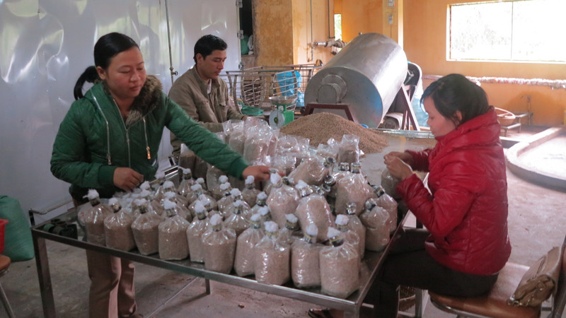 Private Vietnamese enterprises will have a larger space to perform well, contributing to making Vietnam a more affluent nation