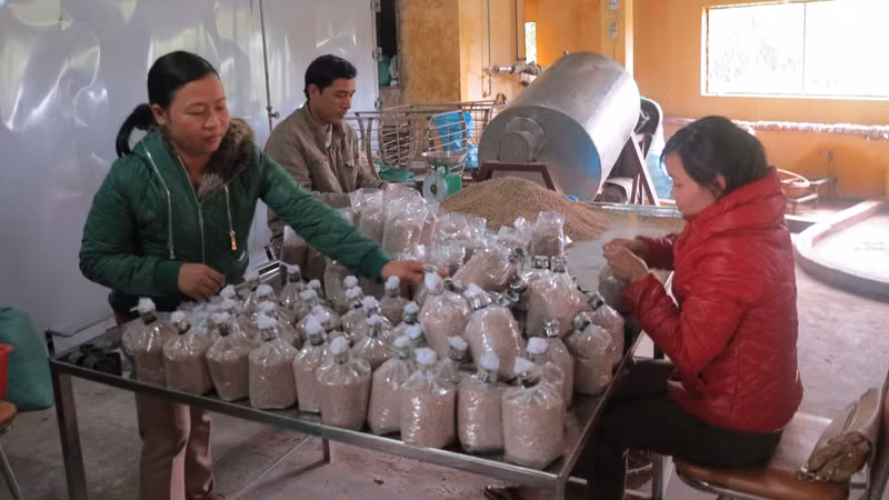 Private Vietnamese enterprises will have a larger space to perform well, contributing to making Vietnam a more affluent nation