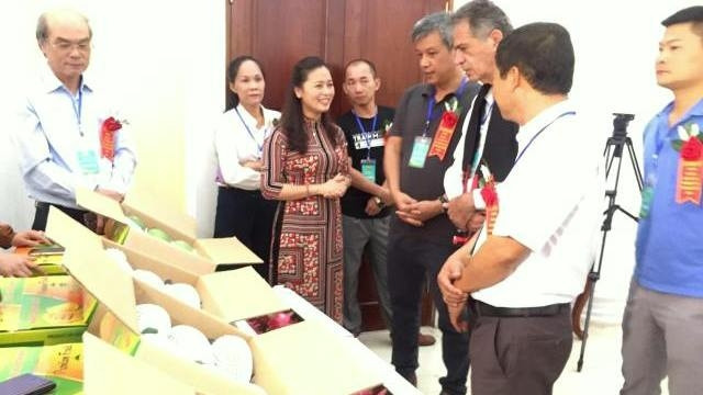 Visitors tour booths introducing Yen Chau mango at the Yen Chau Mango Festival 2019 in Son La on June 1, 2019. (Photo: NDO/Thanh Tra)