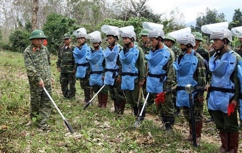Besides practical measures to deal with the consequences of landmines in the country, Vietnam actively participates in international joint efforts on this work. (Photo: VNA)