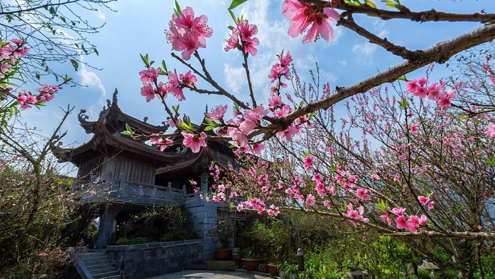 In recent days, Fansipan has still welcomed a large number of tourists, thanks to not only the ability of snow and ice here, but also its specific beauty of the north-western region.
