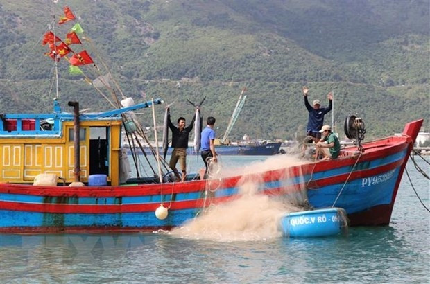 Fishermen in Hoa Xuan Nam commune, Dong Hoa town, Phu Yen province, pose for a photo with fish caught during their New Year trip. (Photo: VNA)