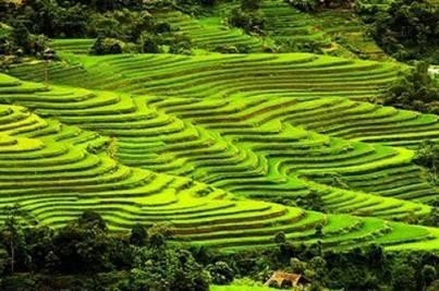 Hoang Su Phi terraced fields recognised as national heritage