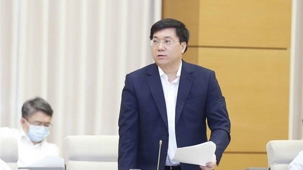 Deputy Minister of Planning and Investment Tran Duy Dong (Photo: VNA)