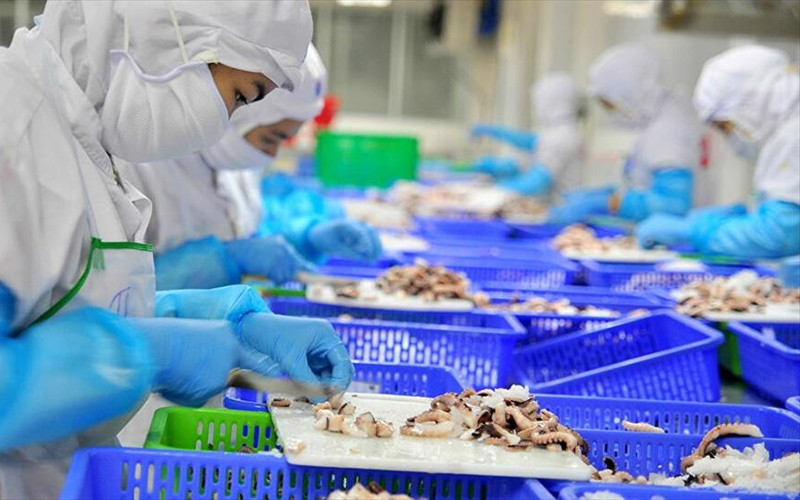 Urgent support measures from localities and the Government are needed to avoid the risk of a breakdown in the entire production chain. (Photo: VASEP)