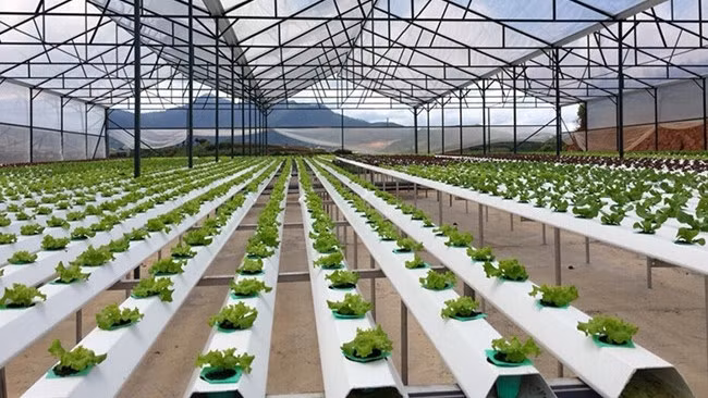 Image for illustration