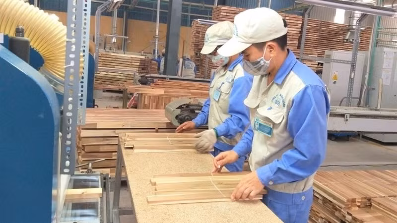 18.5 billion USD goal set for wood export in 2025