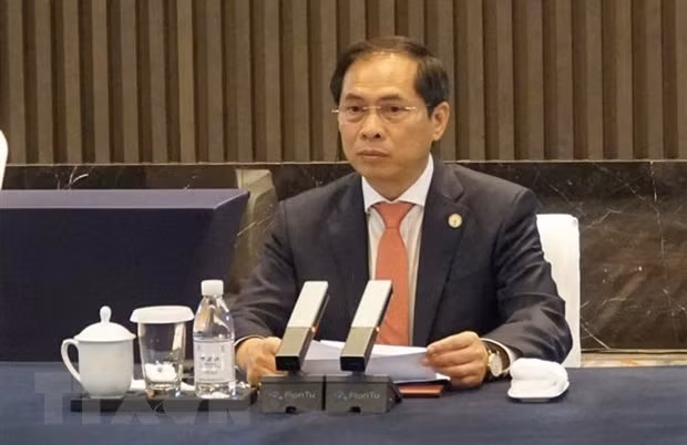 Vietnamese Minister of Foreign Affairs Bui Thanh Son (Photo: VNA)