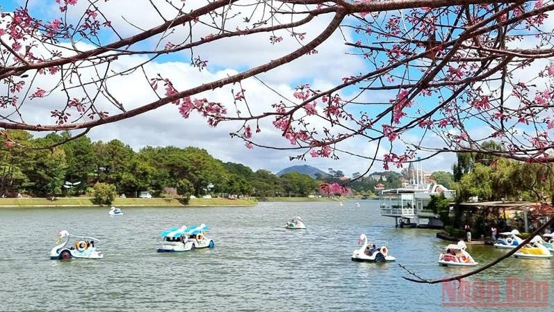 A corner of Xuan Huong Lake, Da Lat