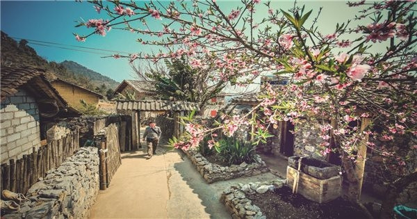 Lo Lo Chai has become known to many tourists and it's now a must-see place in Ha Giang. (Photo: baodantoc.vn)
