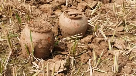 Terra cotta jars found near the Ho Dynasty Citadel