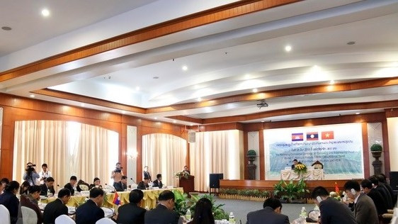 At the conference (Photo: VNA)