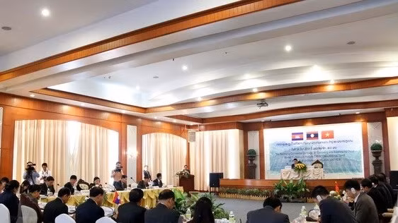 At the conference (Photo: VNA)