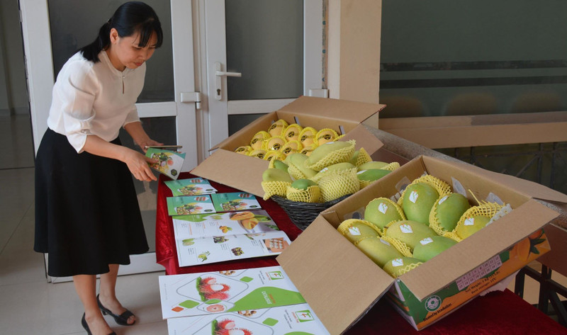 Mango is among fruit allowed to be exported to the US. (Illustrative image)