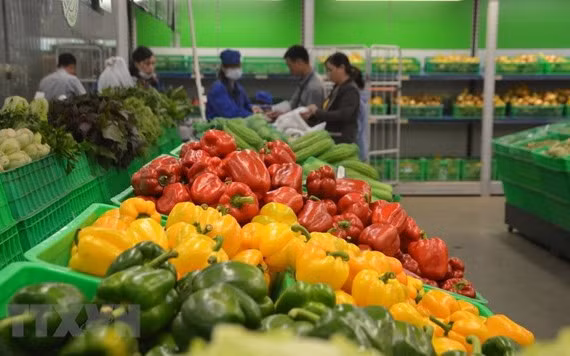 Illustrative image (Photo: VNA)