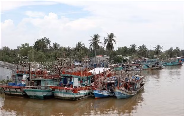 Illustrative image (Source: VNA)