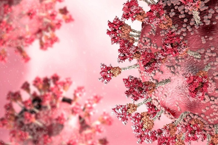 Getting infected twice with two different Omicron coronavirus subvariants is possible, but rarely happens, a Danish study has found.