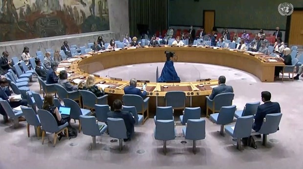 A plenary session of the UNSC (File photo: VNA)