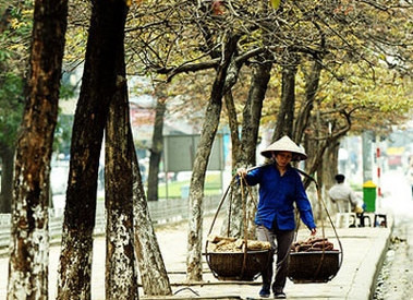 A street vendor in Hanoi 