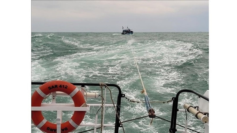 Eleven sailors in distress at sea brought ashore
