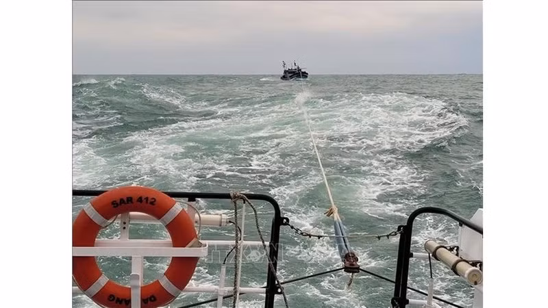 Eleven sailors in distress at sea brought ashore