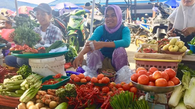 FAO will continue working with Indonesian government to provide protection to smallholder farmers and their families. (Photo: ANTARA/HO-FAO Indonesia)