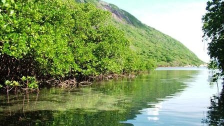 Con Dao National Park