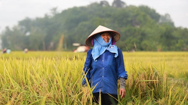 Vietnamese products are shipped to 53 out of 55 African countries. (Photo for illustration)