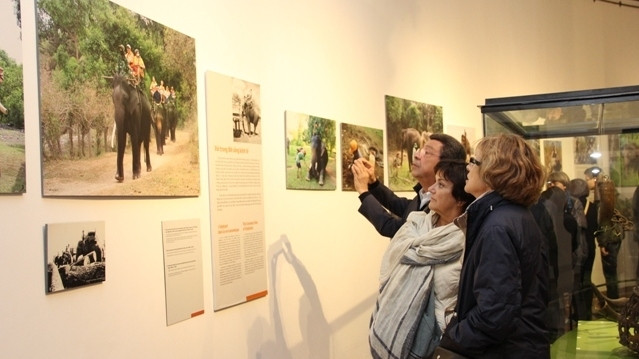Visitors at the exhibition