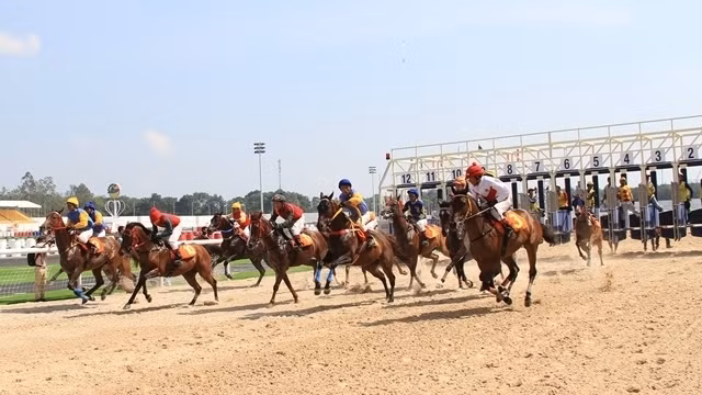 Image for illustration