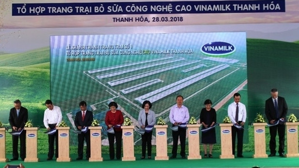 Delegates at the inauguration ceremony. 