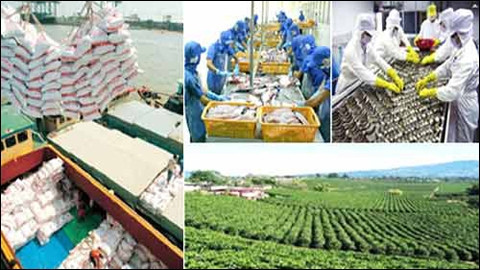 Vietnam grossed US$12.12 billion from selling agricultue, forestry and seafood products abroad in the first five months of 2014.