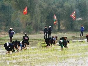 Long Tong festival becomes national heritage