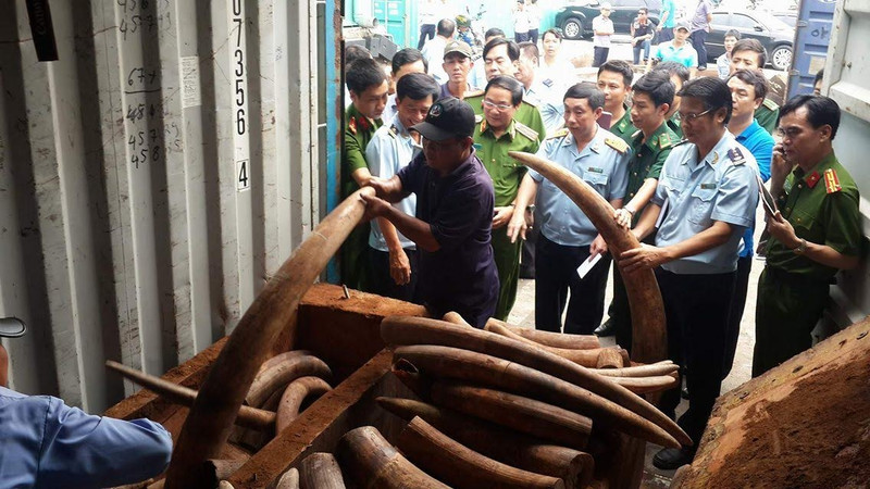 This is the third ivory smuggling case in October 2016.