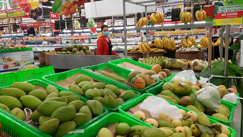 The Vietnamese economy is set to significantly benefit from RCEP opportunities 
