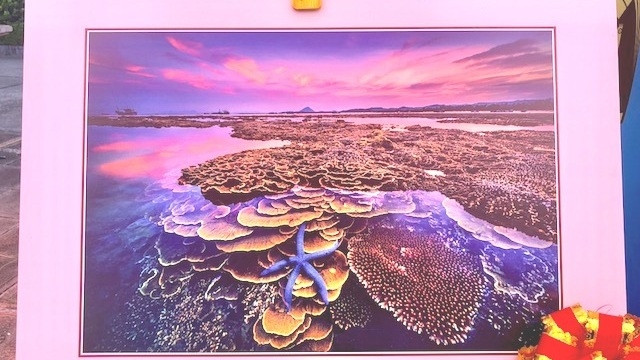 The photo named ‘Sac mau cua bien (Colour of Sea).
