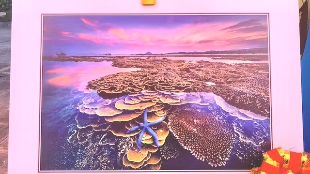 The photo named ‘Sac mau cua bien (Colour of Sea).