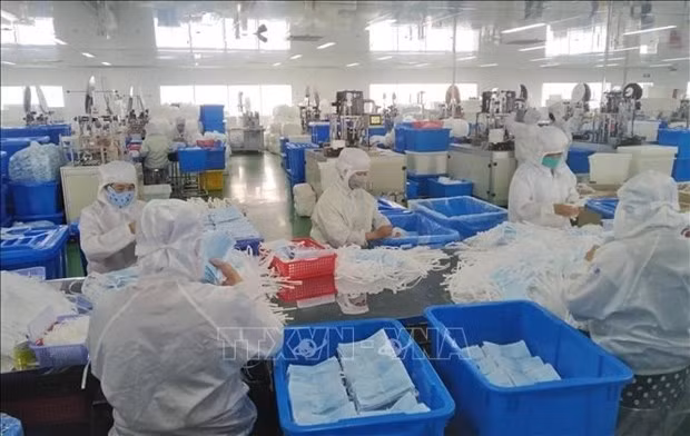 Illustrative image. (Photo: VNA)