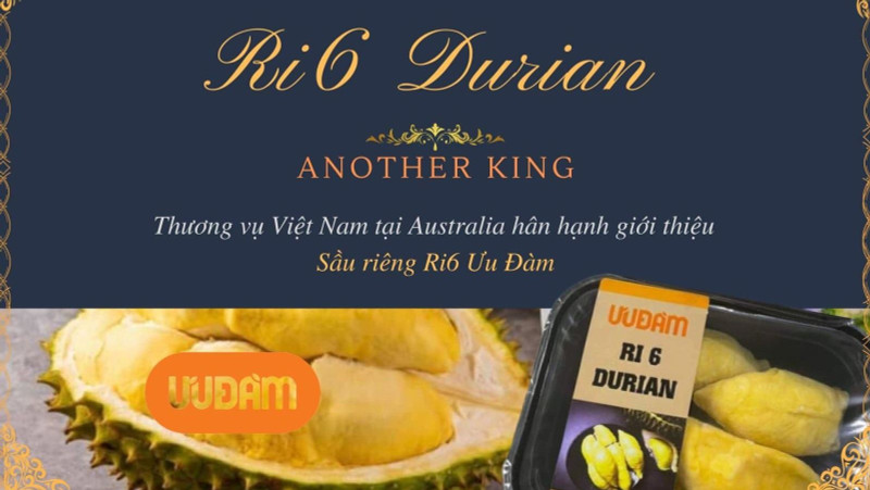With the slogan “Ri6 Durian - Another king”, Ri6 durian actively boosting its image in Australia. (Photo:VNA)