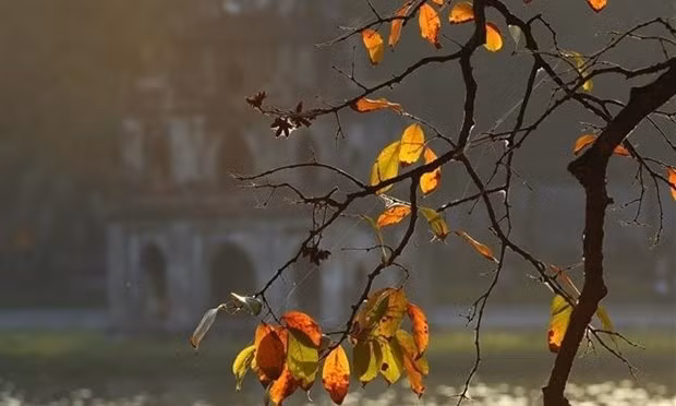 Autumn in Hanoi's Hoan Kiem lake (Photo: VNA)