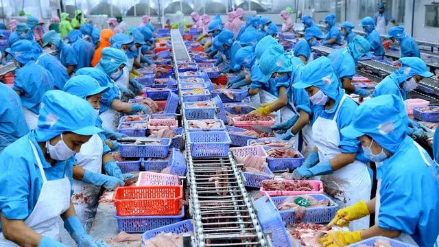 Vietnam exported US$16.1 billion worth of goods to the EU during January-May.