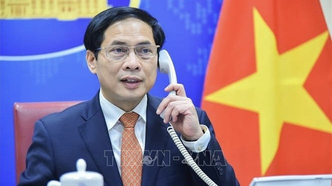 Minister of Foreign Affairs Bui Thanh Son (Photo: VNA)