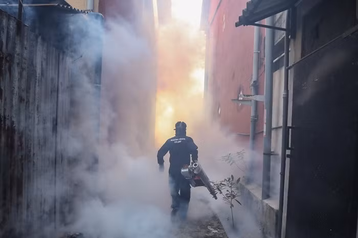 COVID-19-related restrictions on people's movements and interactions may be linked to a sharp decline in cases of mosquito-borne dengue fever in 2020, offering new insight into how it might be controlled, according to a study.