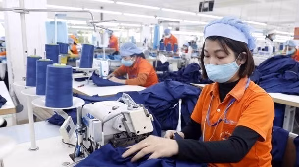  The Vietnam Trade Office in Sweden and North Europe plans to take European food importers to Vietnam to buy goods this year. (Illustrative image/Source: VNA)