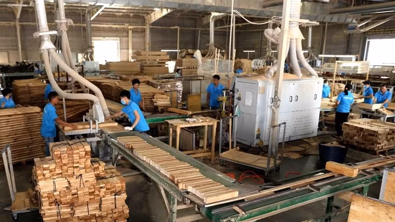 The export revenue of wood and forestry products was estimated at US$8.71 billion in the first half of 2021. (Photo: VNA)