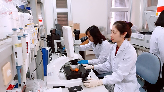 The 2019 Ta Quang Buu Award will be presented to three scientists who have made significant contributions to the country’s science and technology sector. (Illustrative image by daibieunhandan.vn)