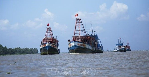 Illustrative photo (Source: VNA)
